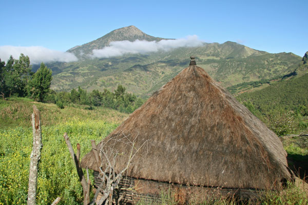 Timor highlands
