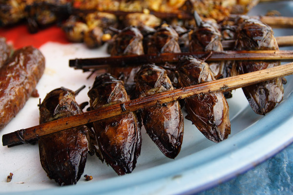 Fried cockroaches