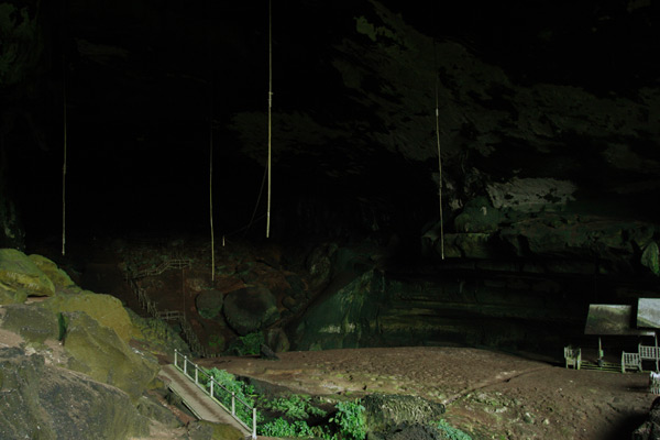 Niah caves
