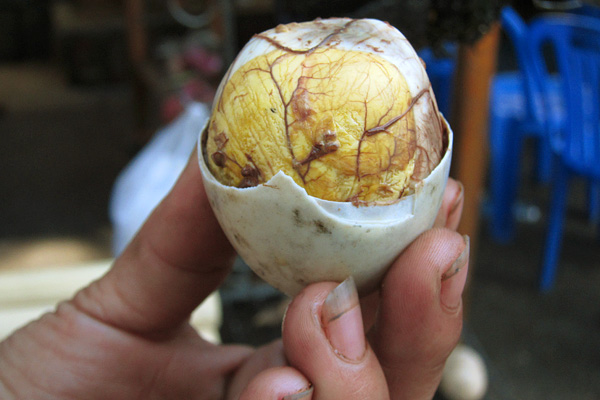 Duck egg with embryo 