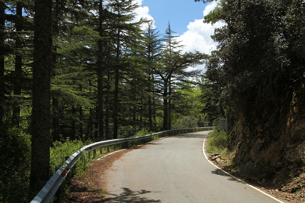 Mountain roads through Cedar Valley