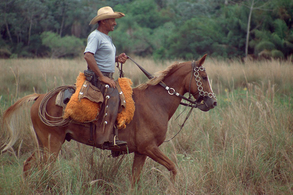 Cowboys and Wildlife
