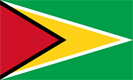 Flag of Guyana