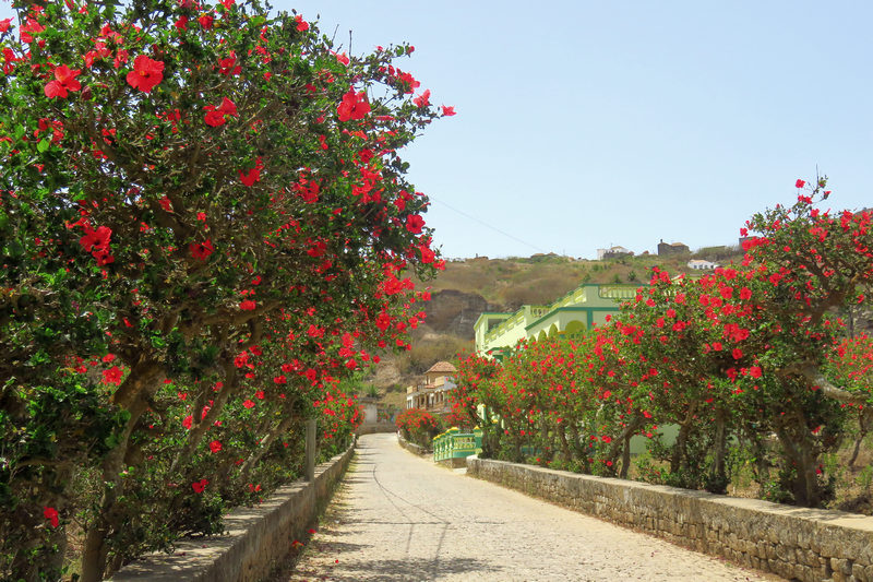 Hiking on Brava