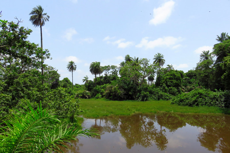 Janjanbureh Island