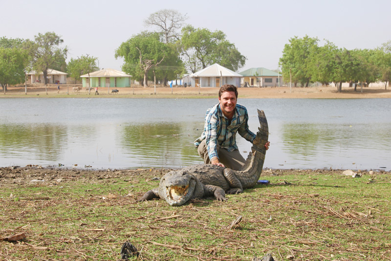 Crocodile pond