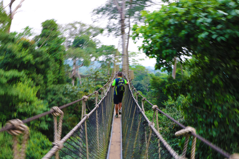 Kakum National Park