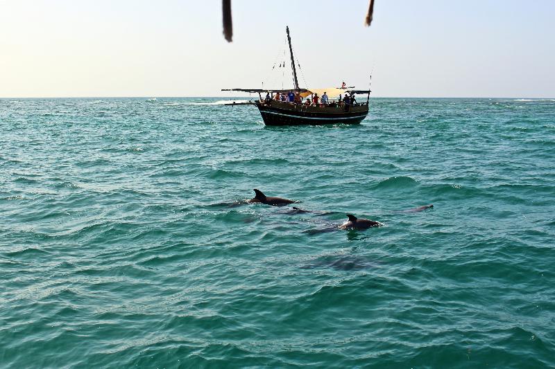 Dhows and Diving