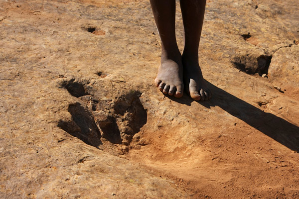 Dinosaur footprints