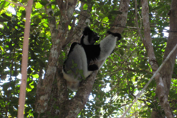 Perinet National Park