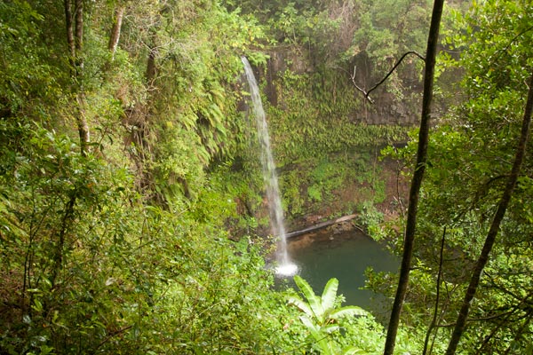Montagne d'Ambre National Park