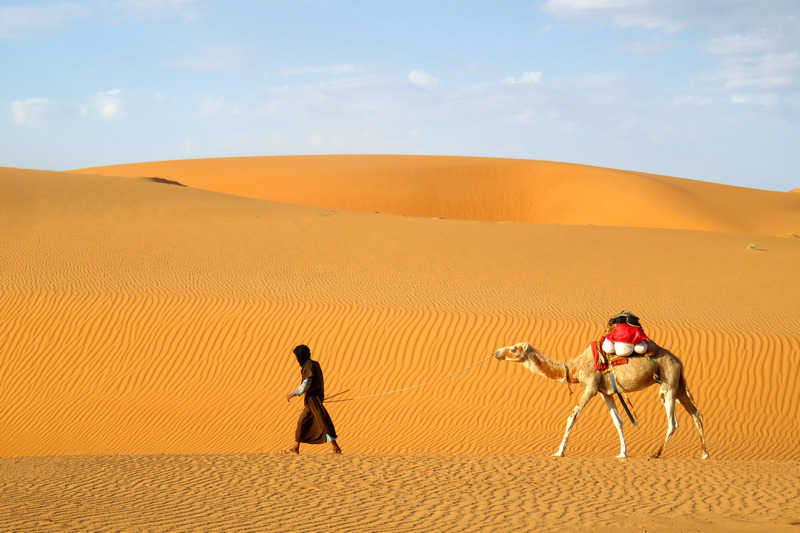 Camel Treks