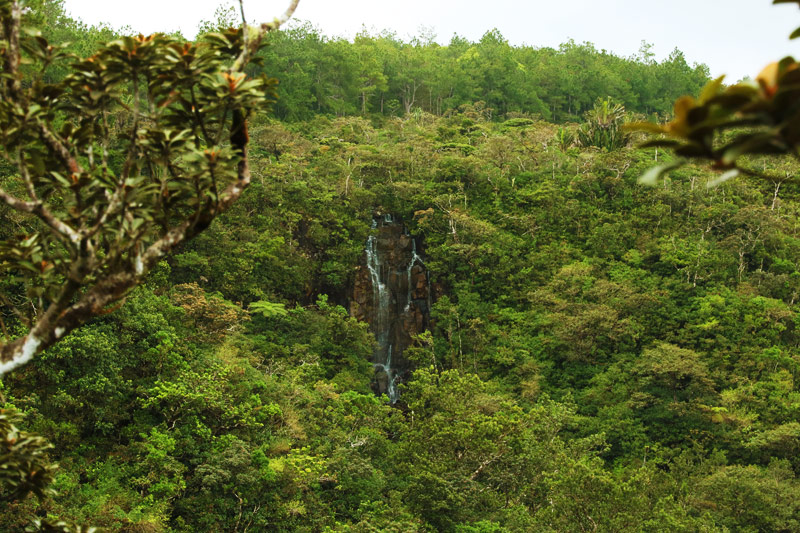 Alexandra Falls Viewpoint