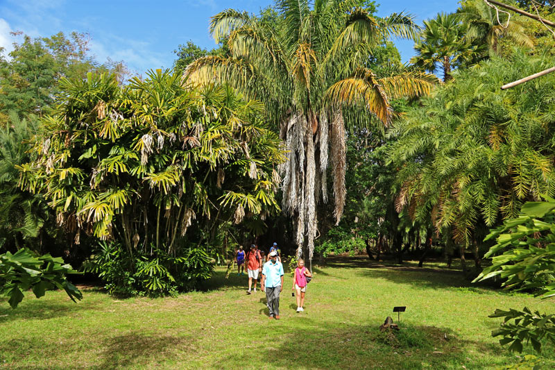 S.S.R. Botanical Garden