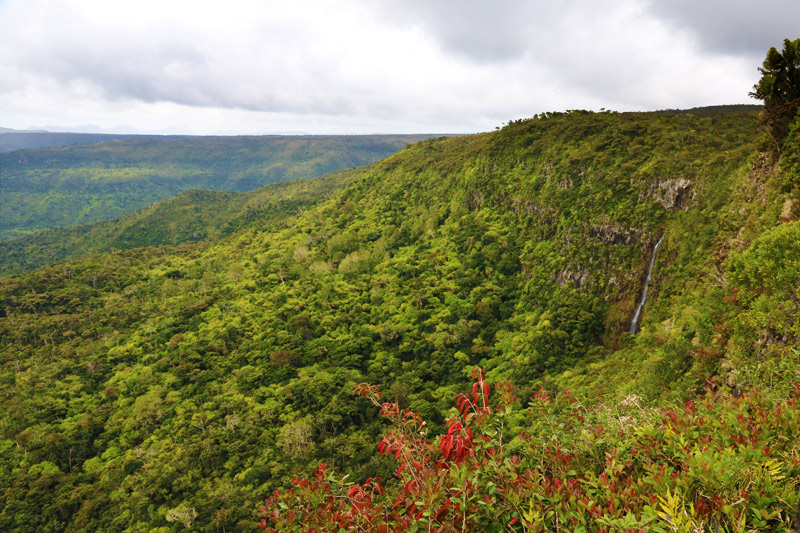 Gorge Viewpoint