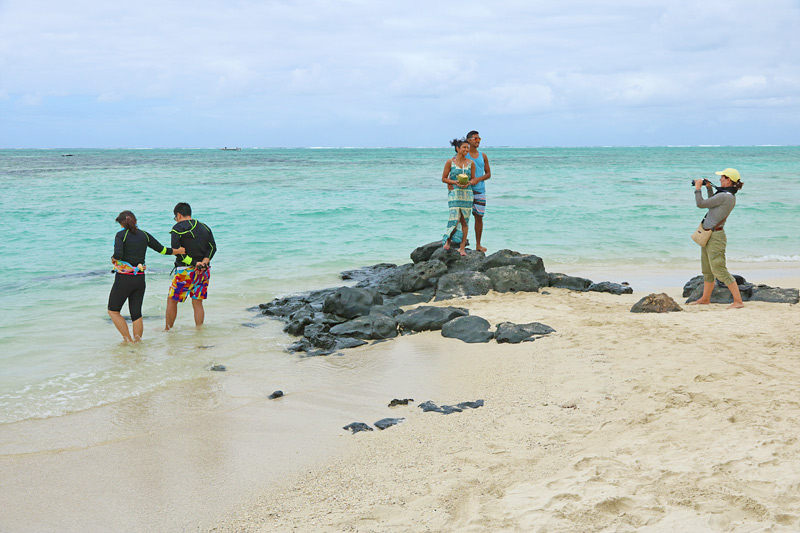 Ile aux Cerfs