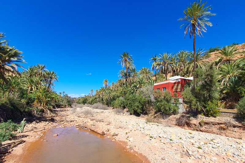 Askens Oasis
