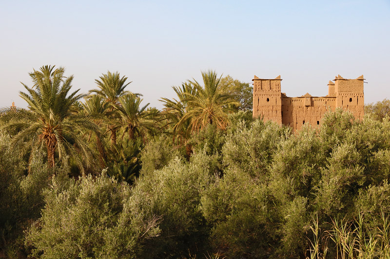 Skoura Oasis