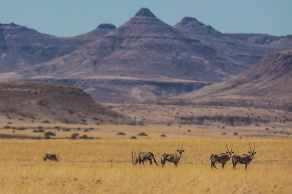 Damaraland