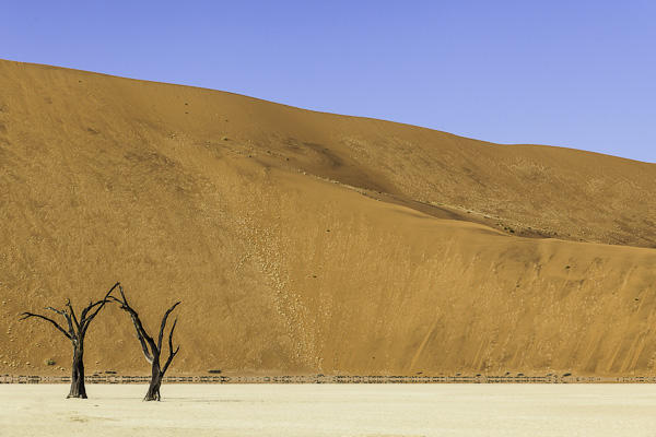 Sossusvlei & Deadvlei 