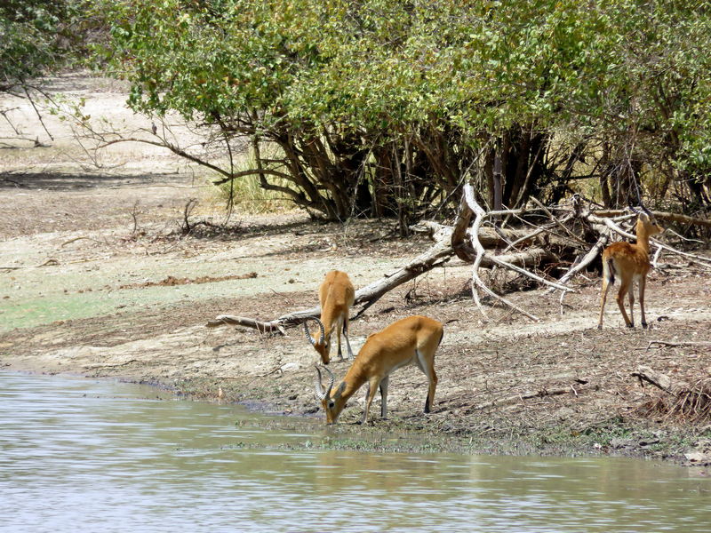 Parc National du 