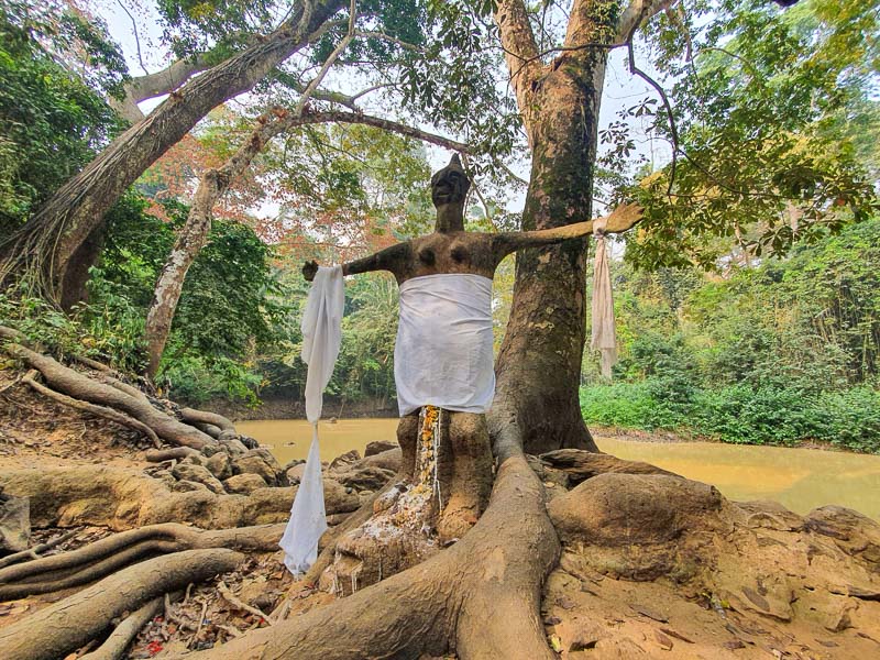 Osun Osogbo Sacred Grove