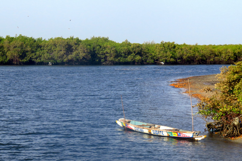 The Sine-Saloum Delta
