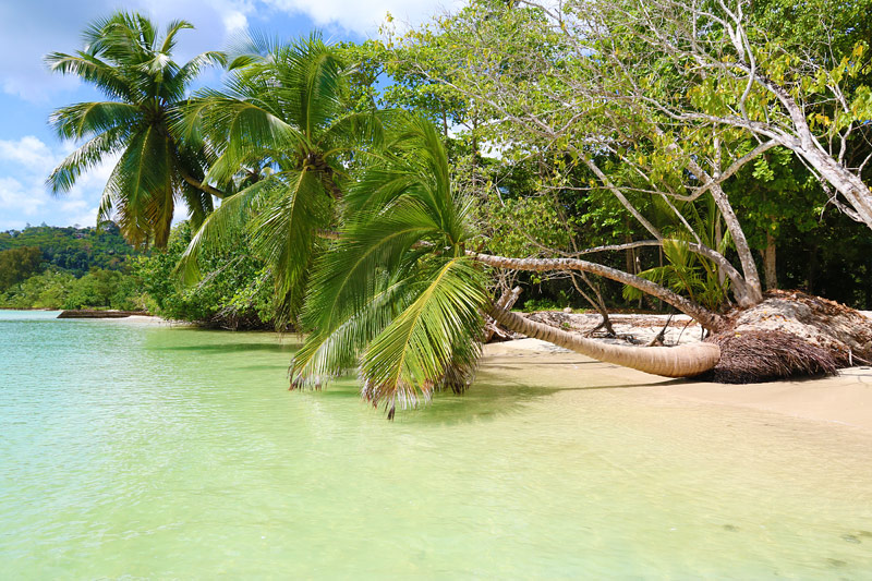 Anse a La Mouche