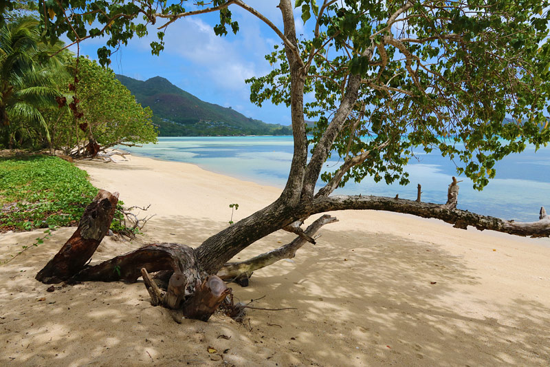 Anse Possession