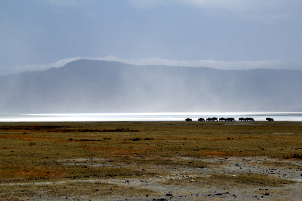 Ngorongoro crater