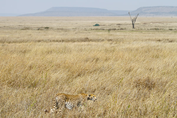 Serengeti National Park