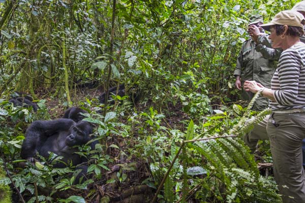 Gorilla tracking