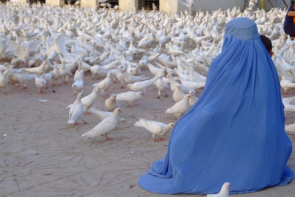 Holy Birds