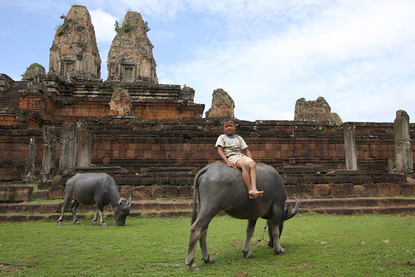 Boy and water buffalo
