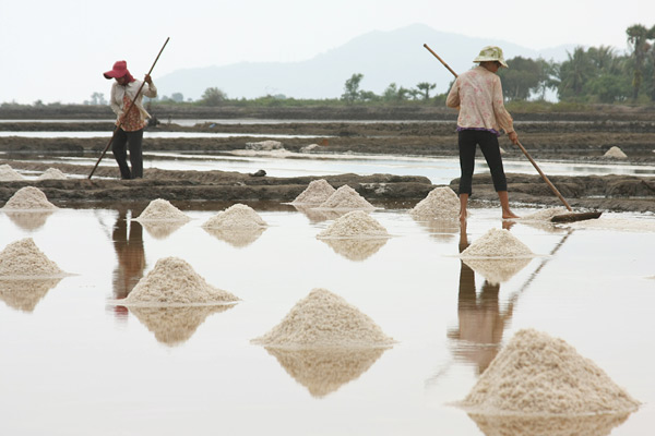 Salt fields