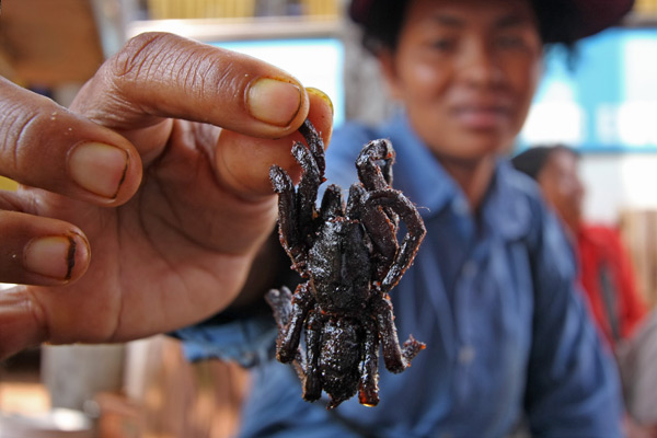 Deep-fried spiders