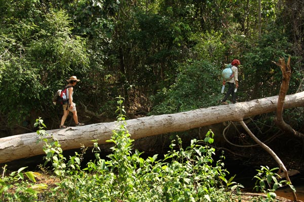 Jungle trekking
