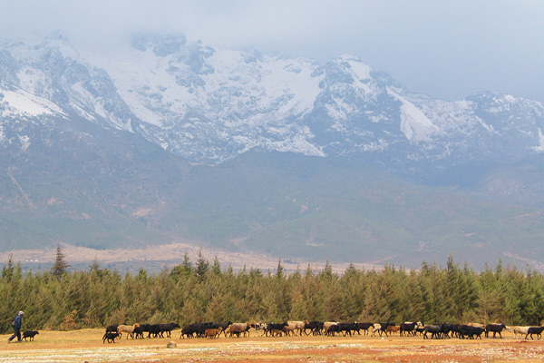 Jade Dragon Snow Mountain