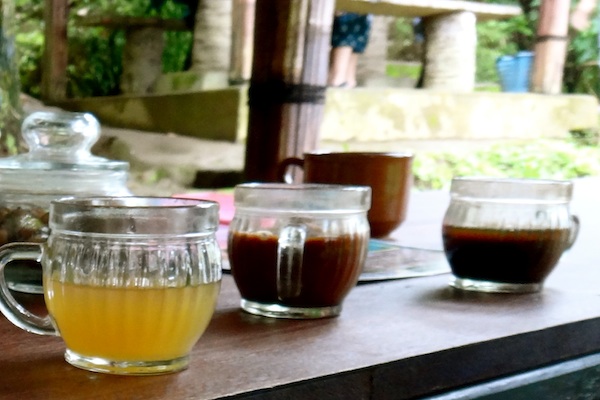 Civet coffee 