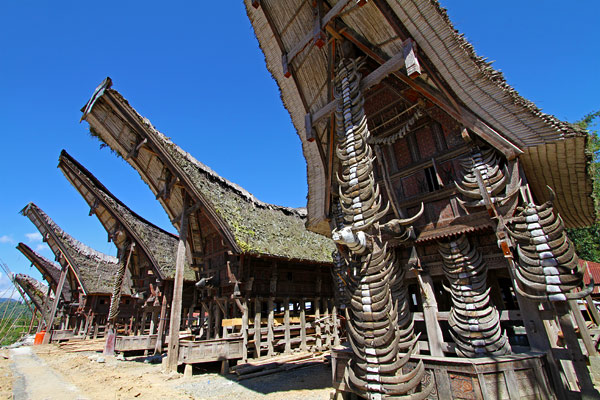 Tana Toraja