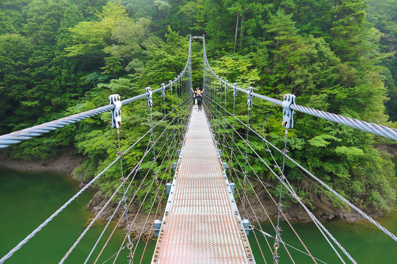 Steel Suspension Bridge