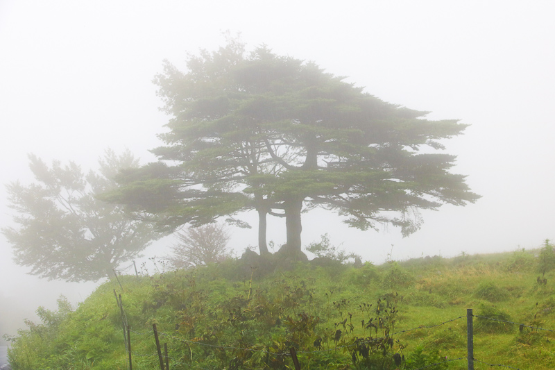 Tengu Highlands