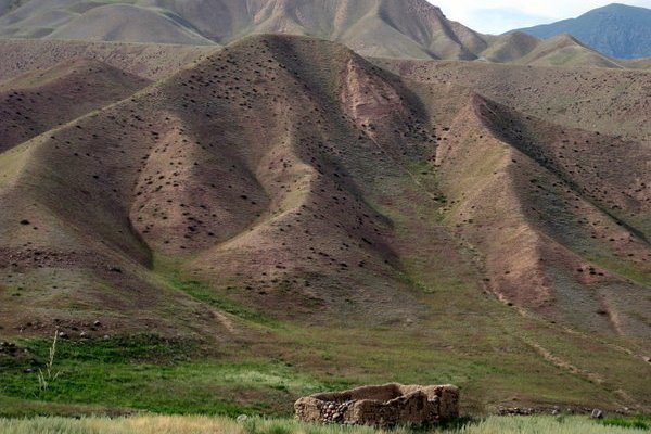 Kyzyl Oi