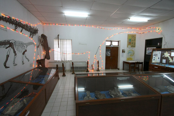 Dinosaur museum