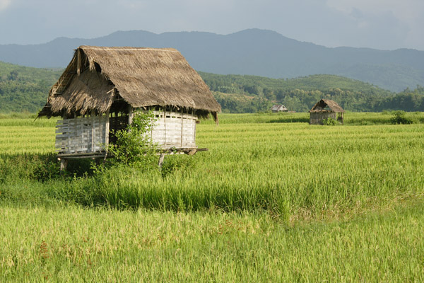 Luang Namtha town