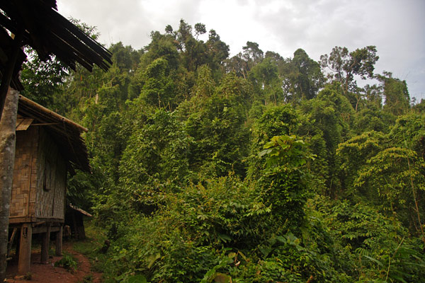 Nam Ha Protected Area