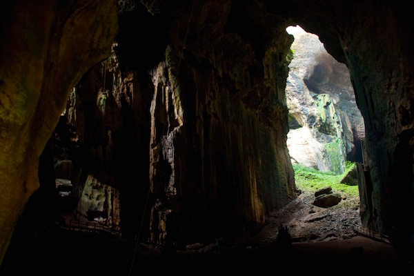 Caving with Bugs