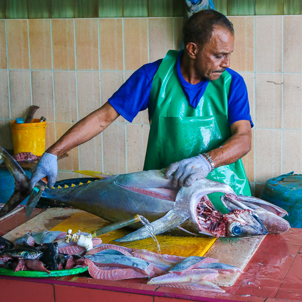 Malé Fish Market