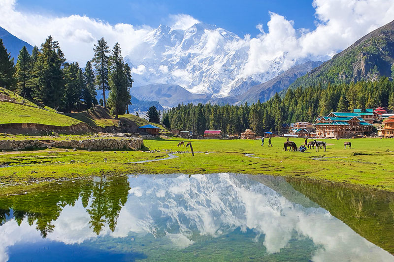 Fairy Meadows