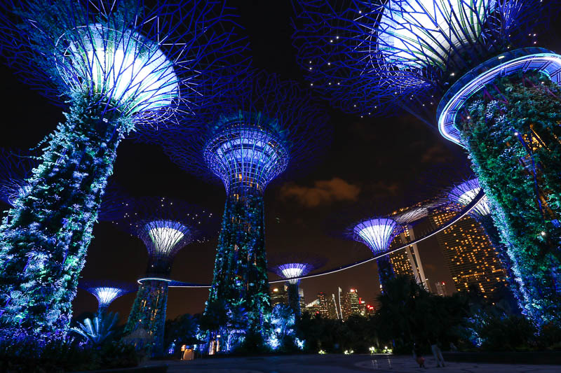 Supertrees